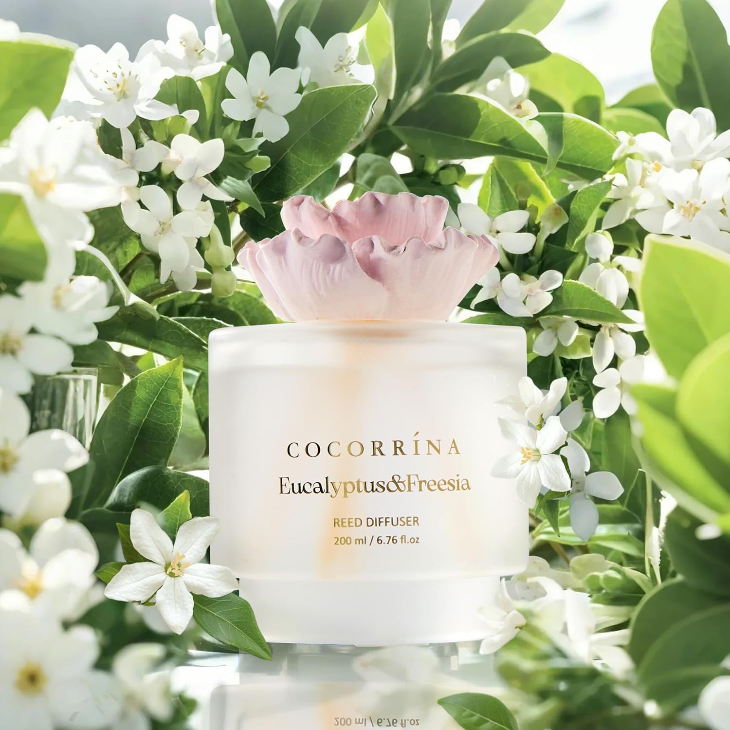 Cocorrina Gypsum Flower Diffuser Set Eucalyptus Freesia Scent