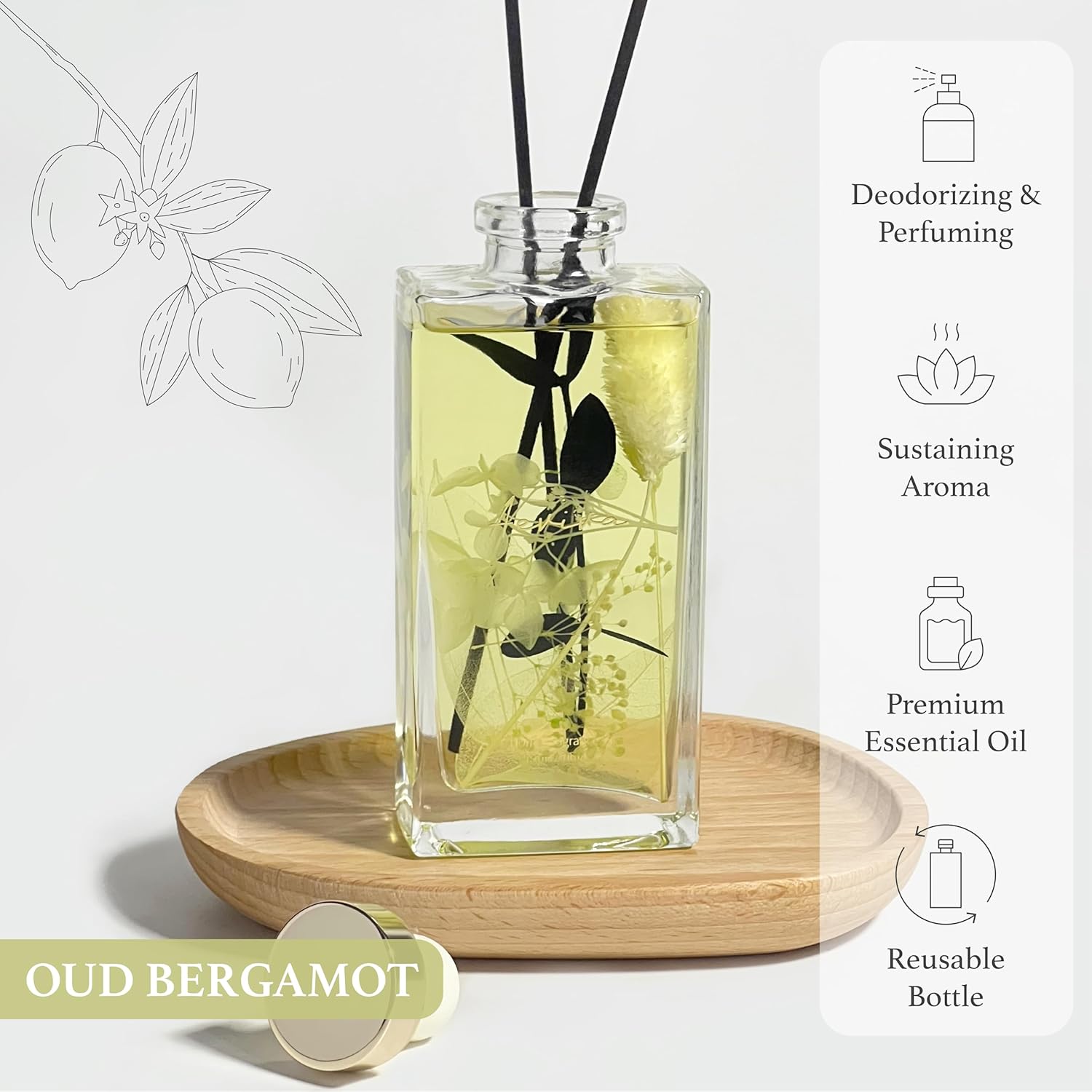 Aeviva Reed Diffuser Set Oud Bergamot Scent