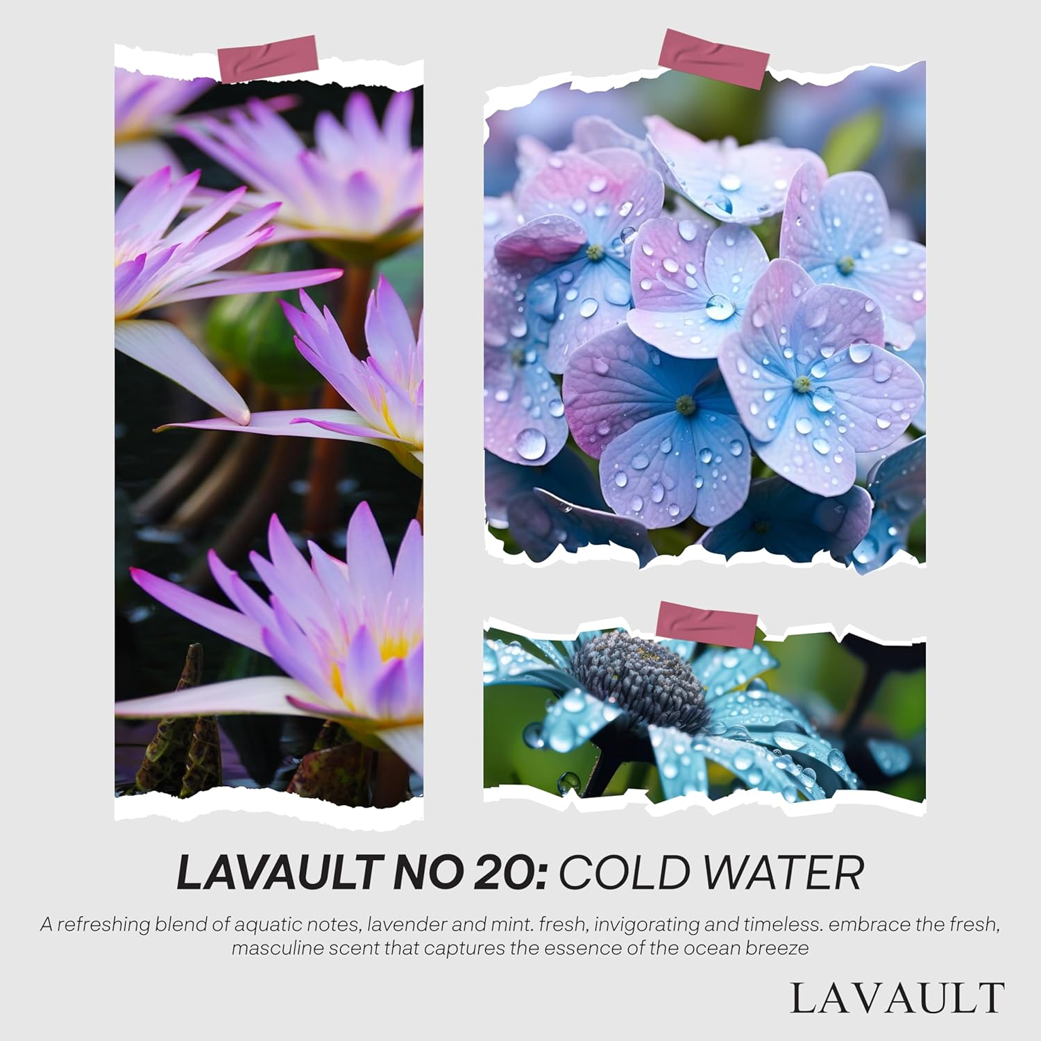 Lavault Reed Diffuser Set - Grey - Natural Aroma