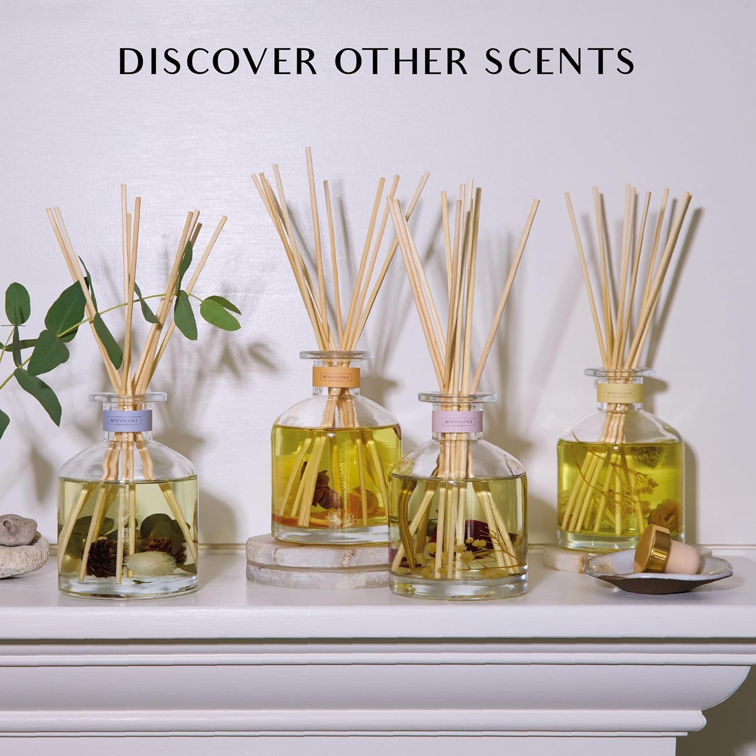 Benevolent LA Reed Diffuser Set with Orange Cedarwood Clove Scent