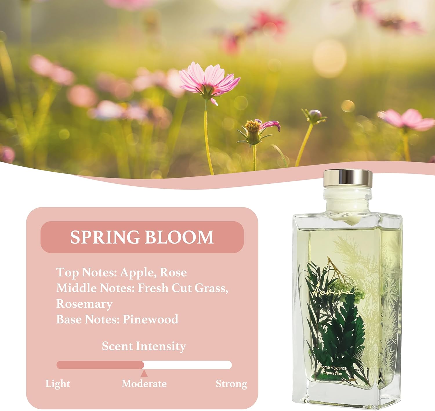 Aeviva Reed Diffuser Set 5 Fl Oz Spring Bloom Fragrance