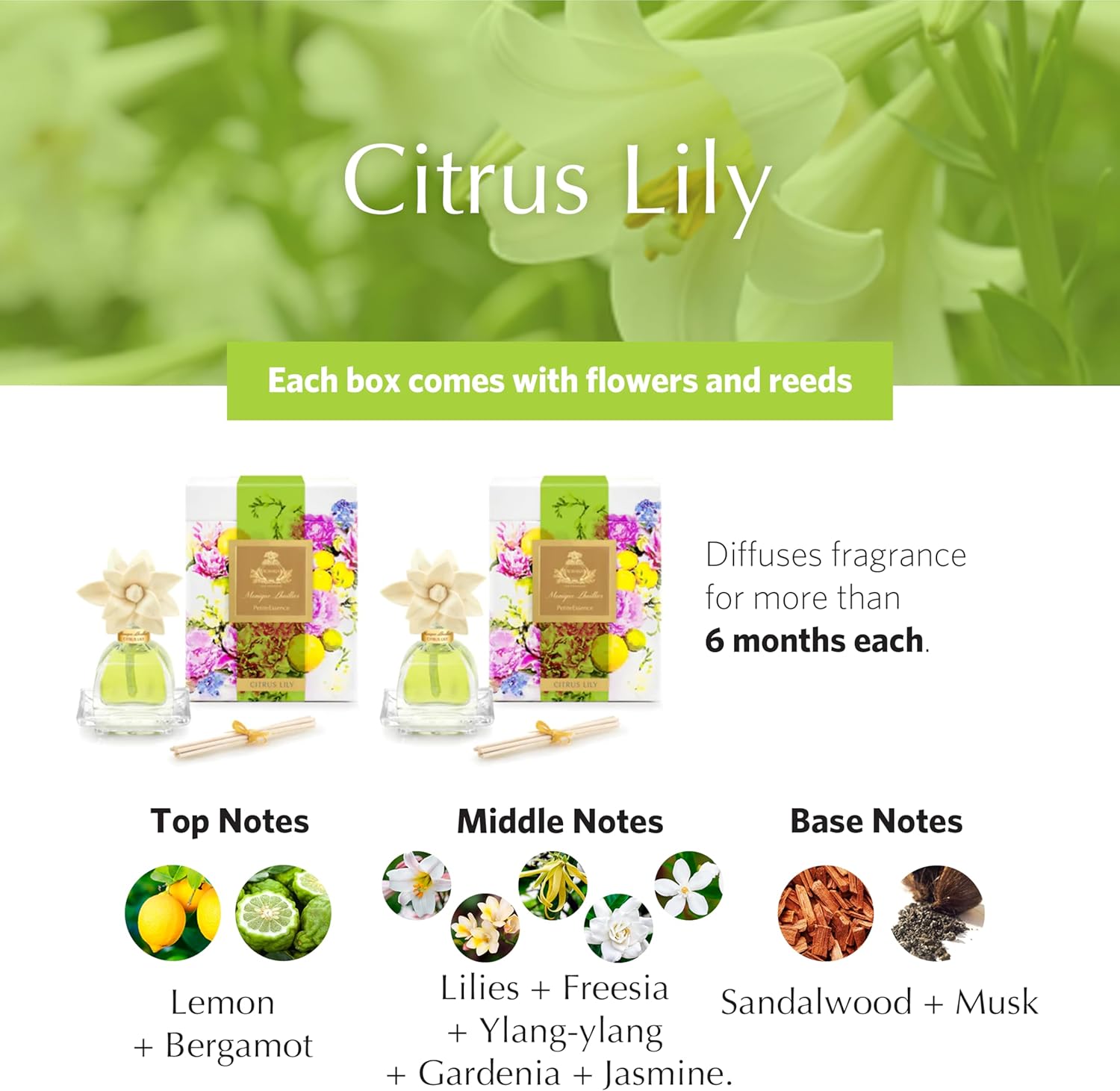 AGRARIA AirEssence PetiteEssence Reed Diffuser Set