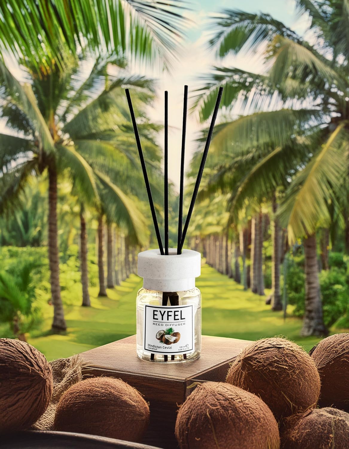 EYFEL Coconut Reed Diffuser Set