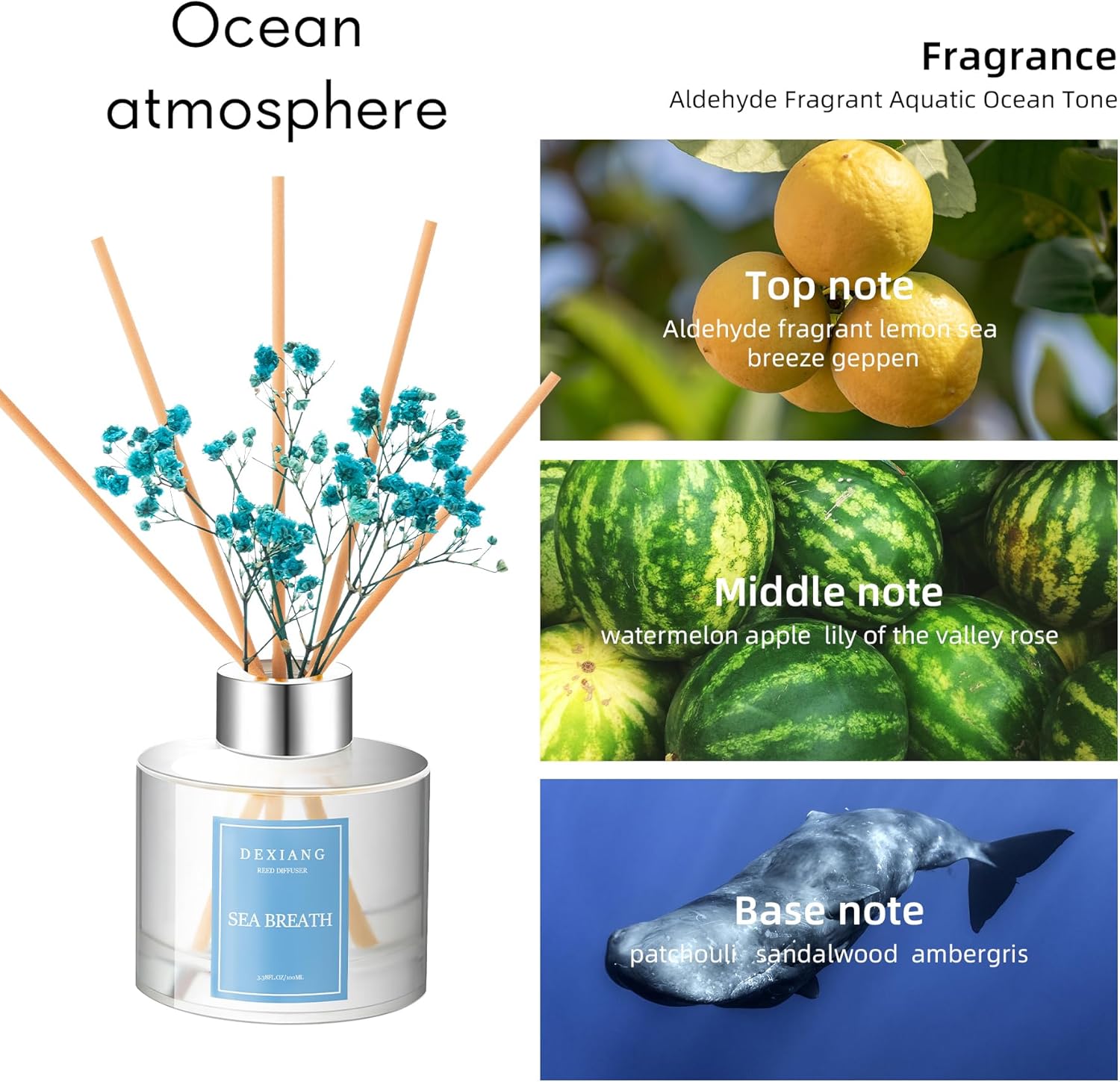 Sea Breath Reed Diffuser Set - 338 Fl Oz 6 Reed Sticks