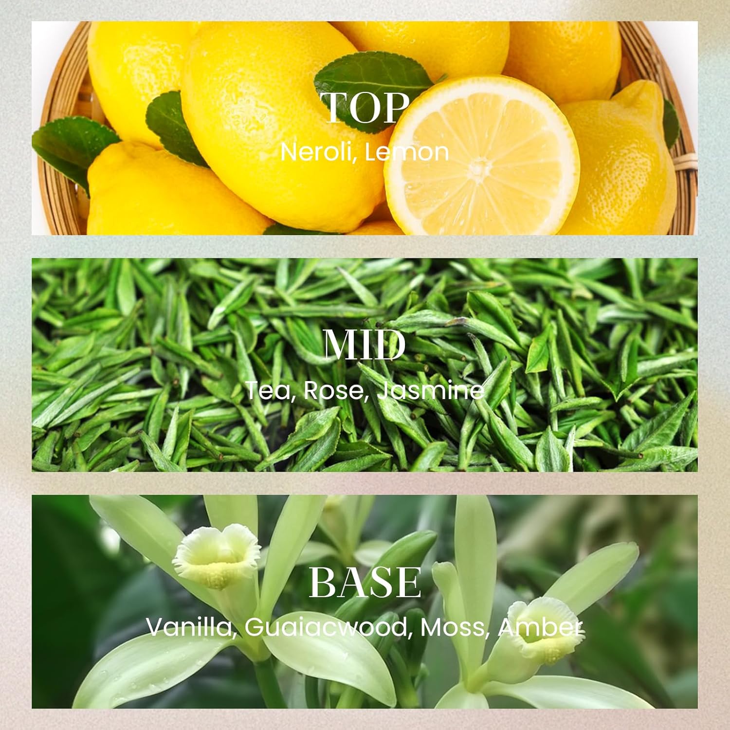 MSENSE 1014 Oz Large Reed Diffuser Set Hotel Collection Non-Toxic Essential Oil Diffuser