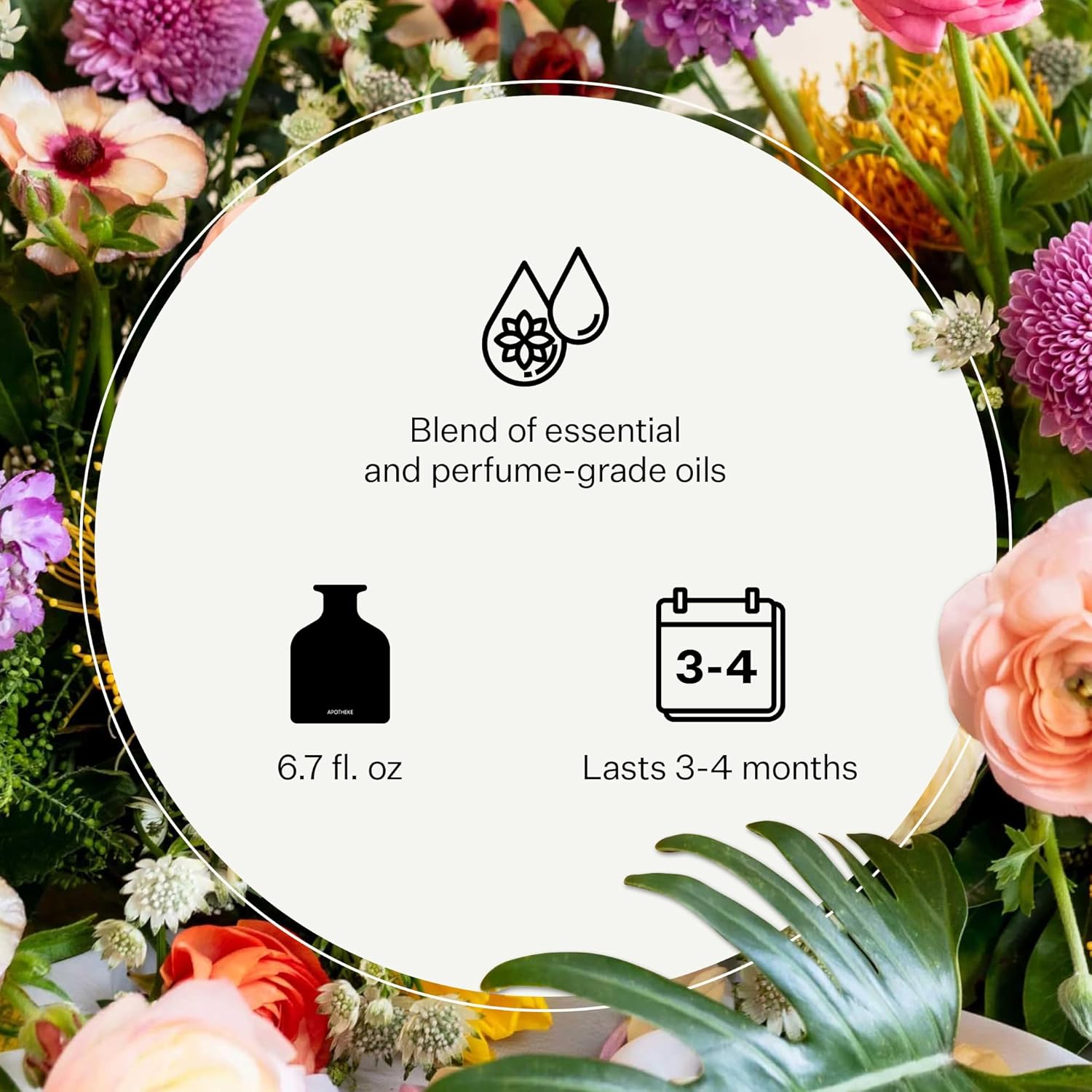 APOTHEKE White Vetiver Reed Diffuser Refill Set with 8 Sticks