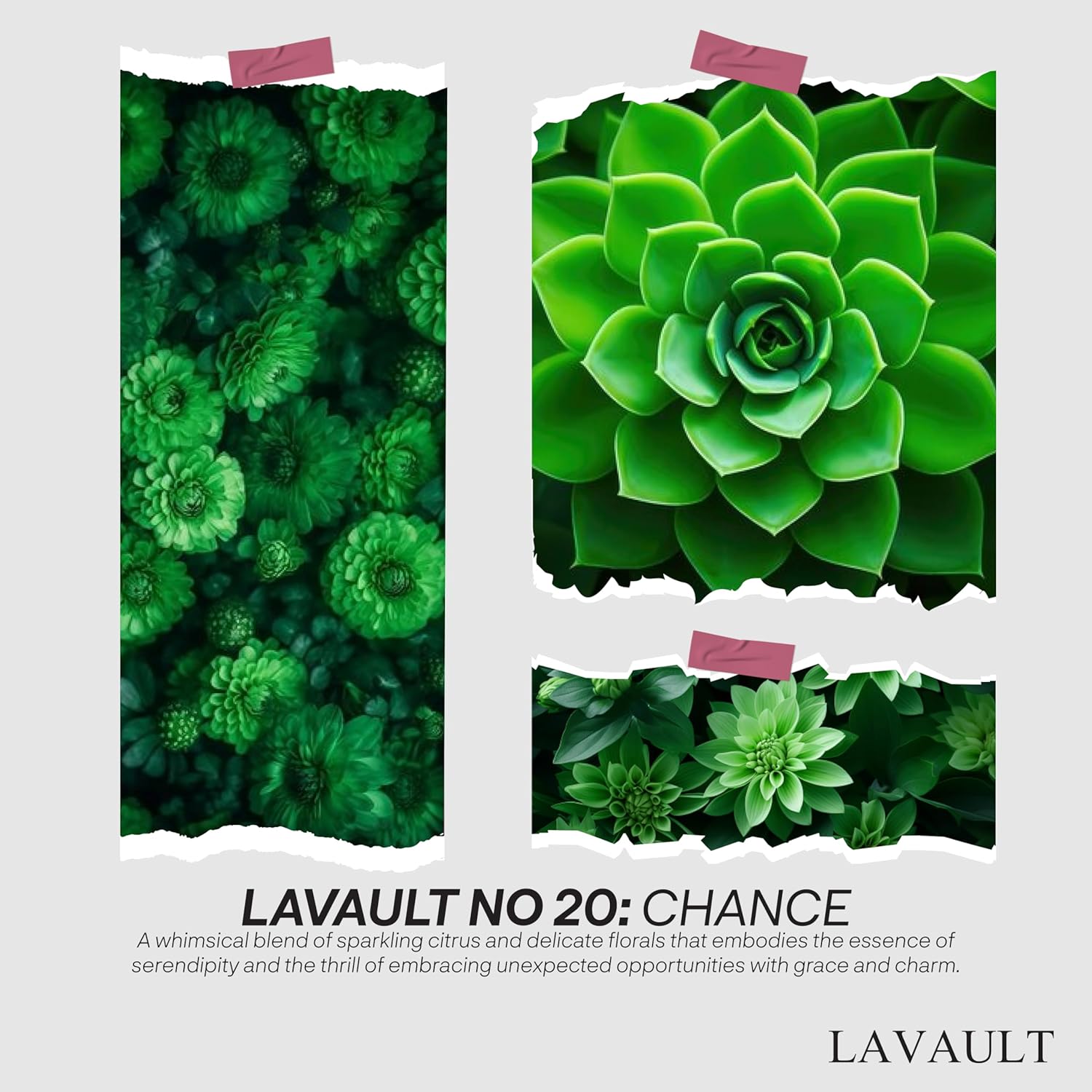 Lavault Reed Diffuser - Relaxing Scent with Glittery Oil