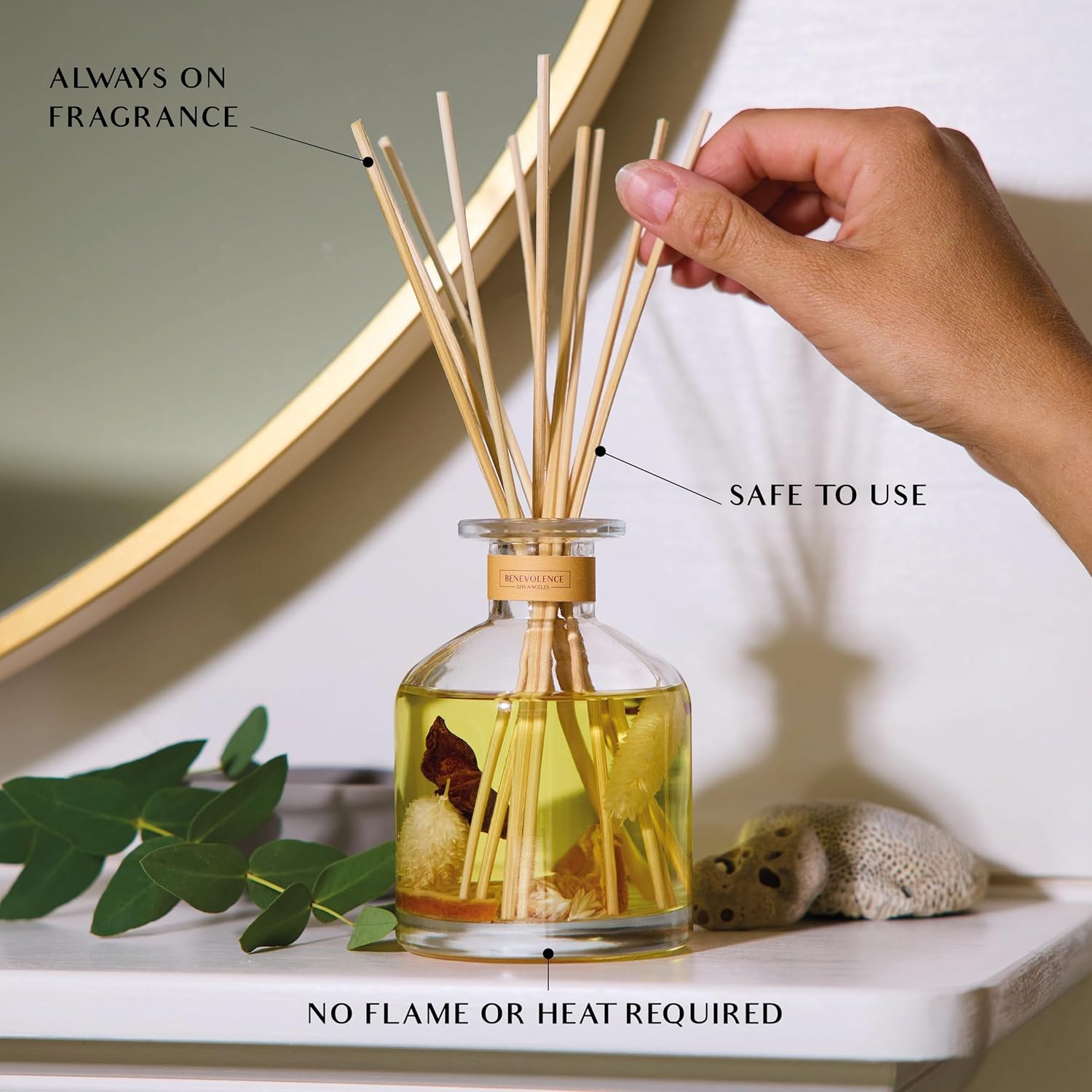 Benevolent LA Reed Diffuser Set with Orange Cedarwood Clove Scent