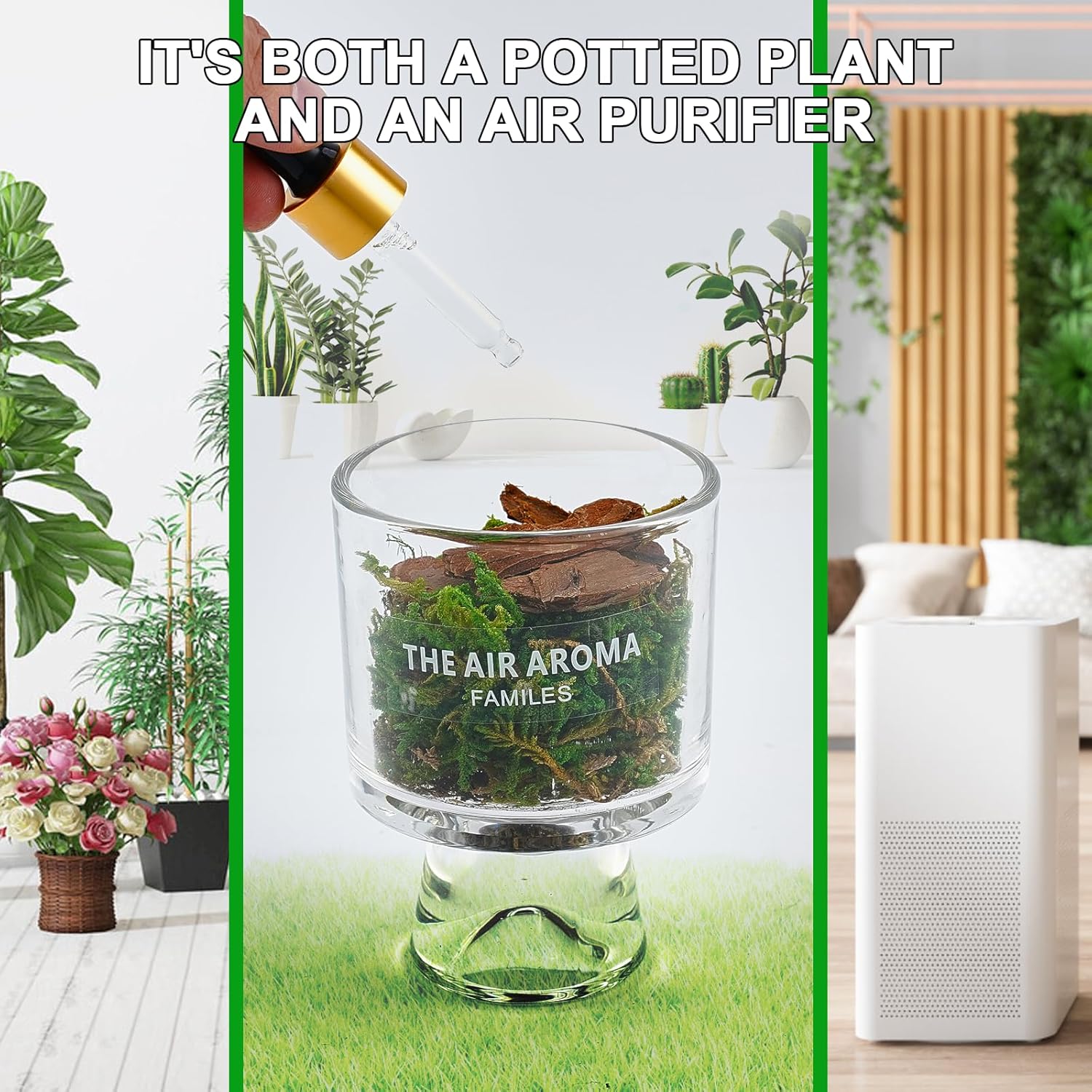 Moss and Pine Aromatherapy Diffuser with Jasmine Scent