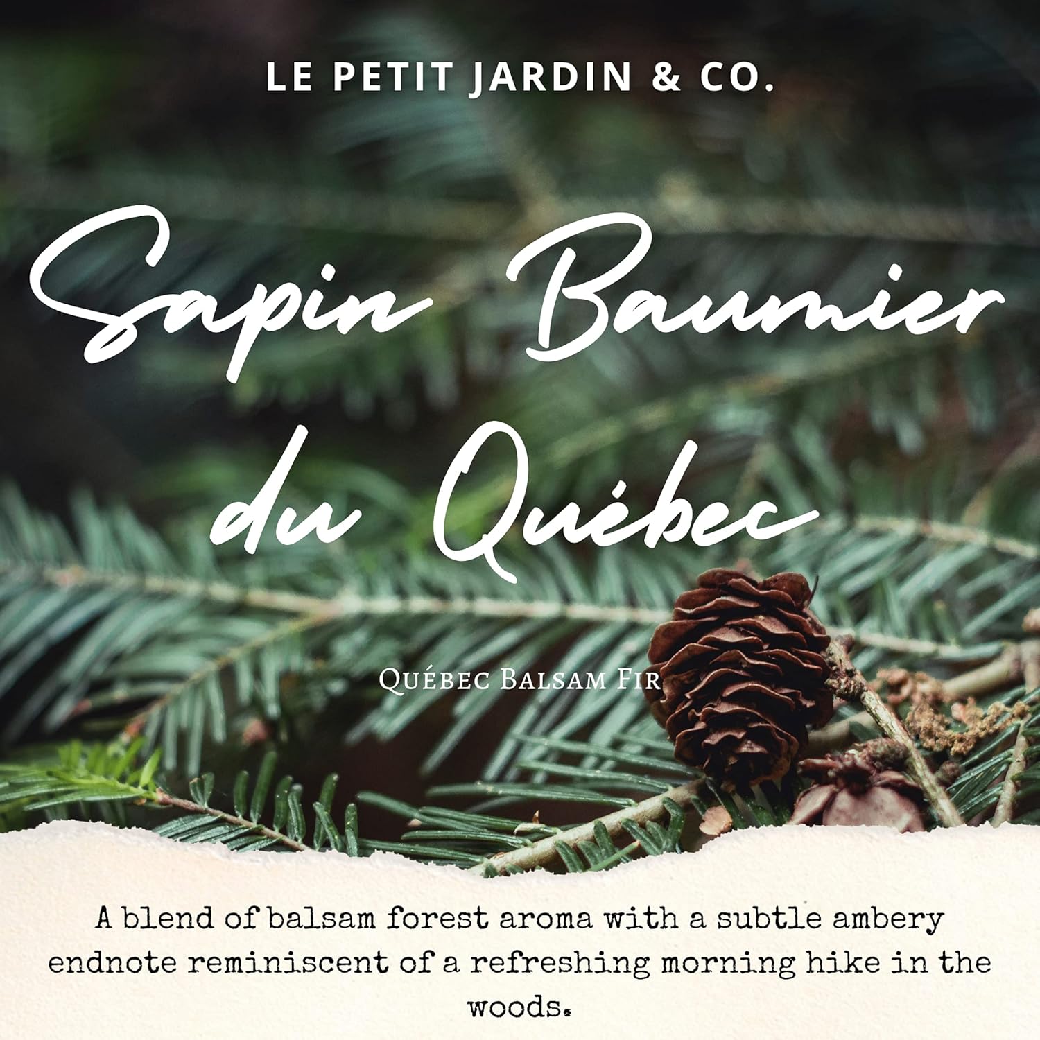 Le Petit Jardin Co Reed Diffuser Set with Real Dried Flowers