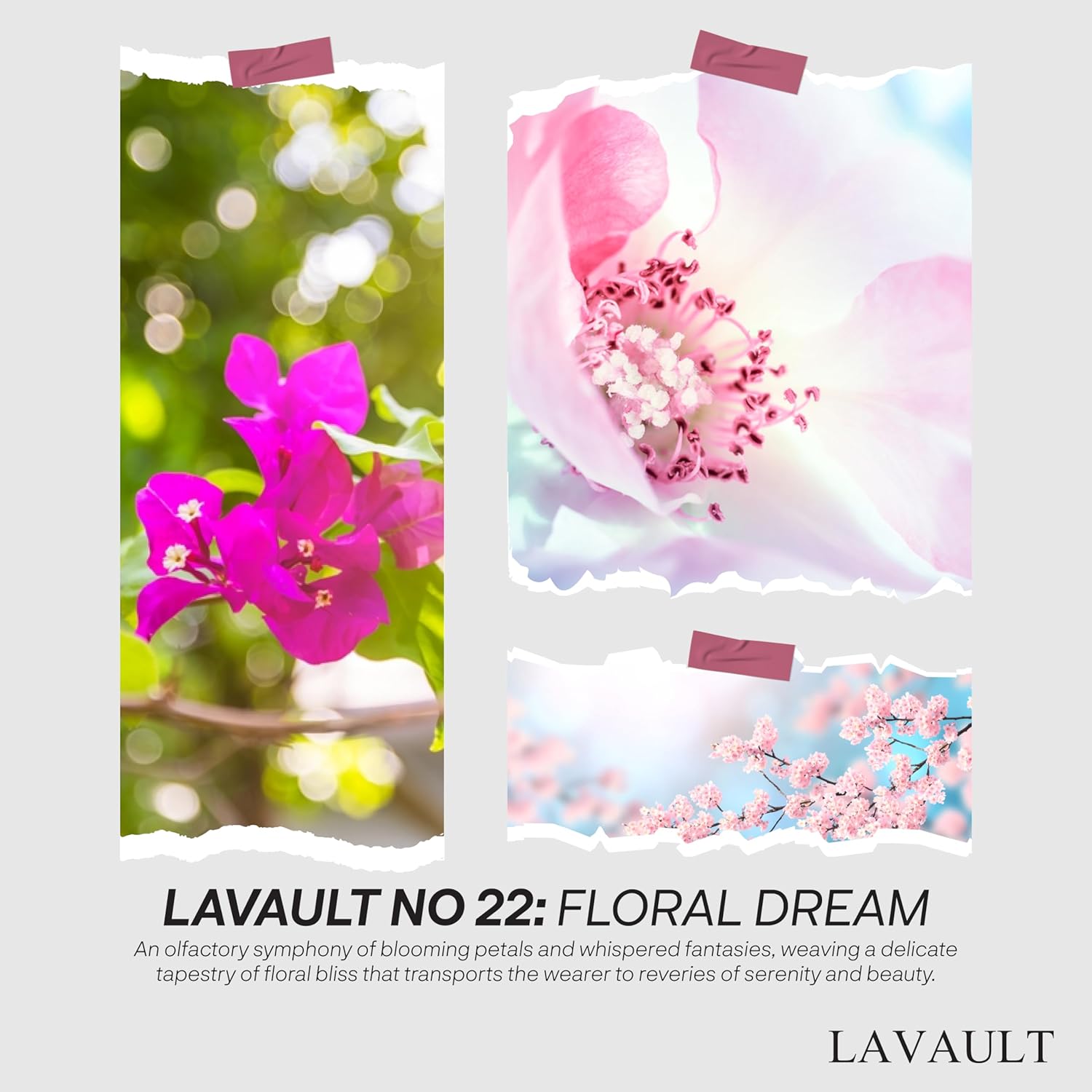 Lavault Reed Diffuser - Floral Aroma with Real Stones