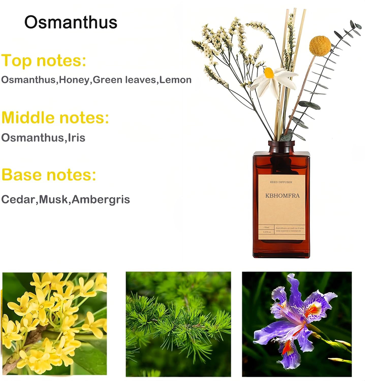 KBHOMFRA Reed Diffuser Set with Dried Flowers