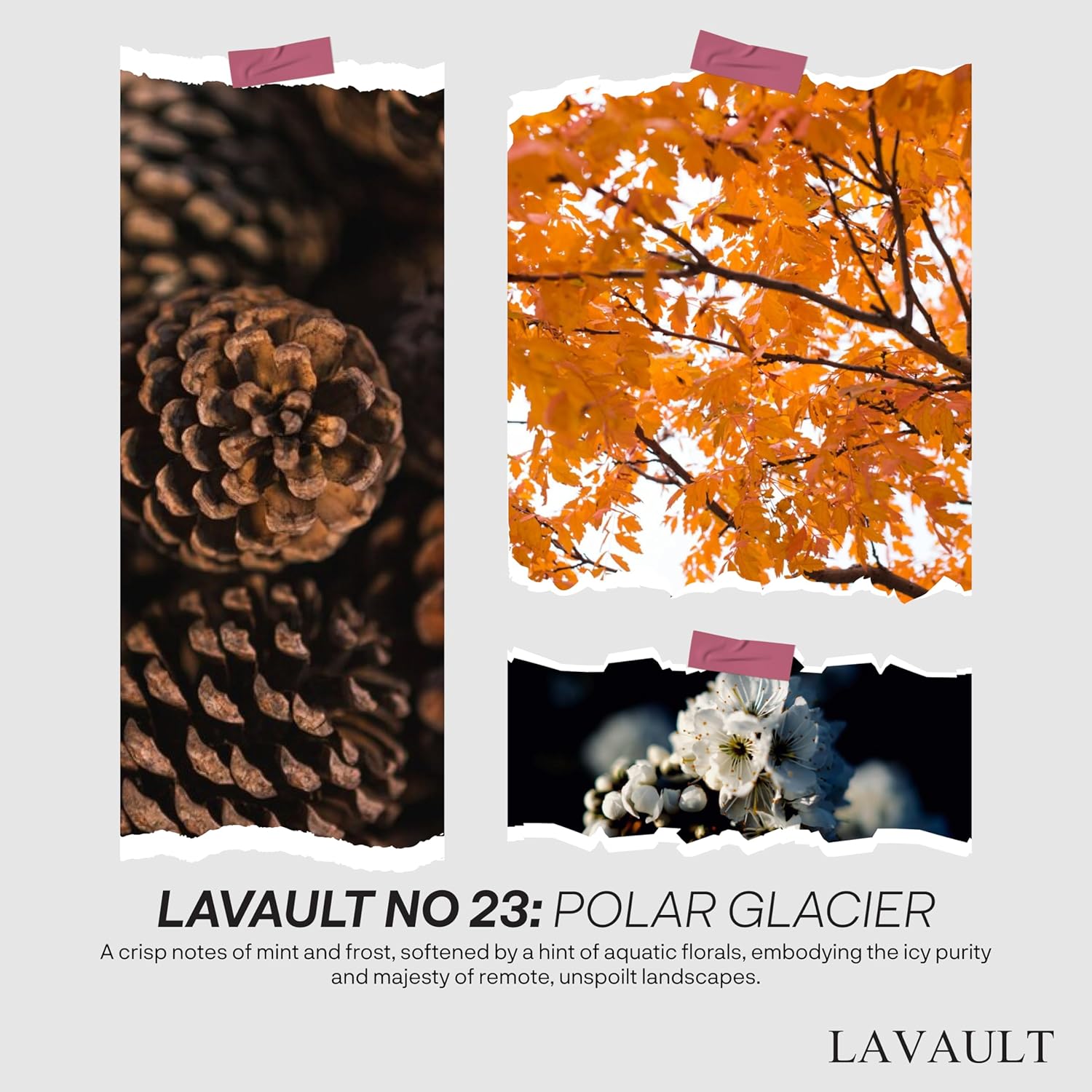 Lavault Reed Diffuser - Natural Fragrance Mood Enhancer