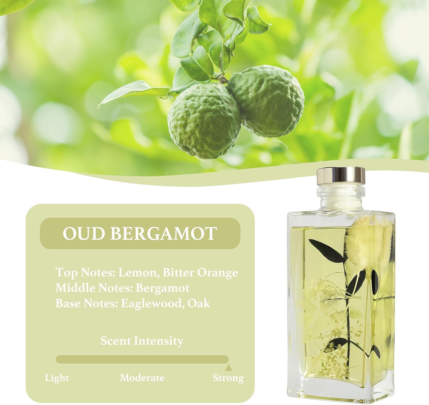 Aeviva Reed Diffuser Set Oud Bergamot Scent