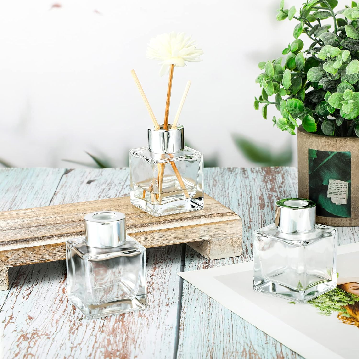 30 Piece Glass Diffuser Set with Silver Caps
