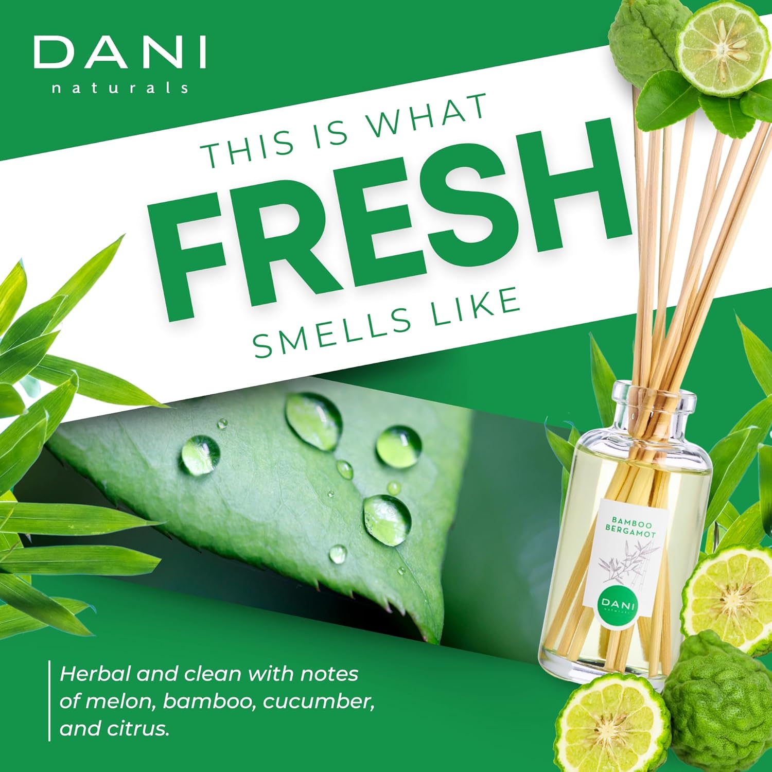 DANI Naturals Reed Diffuser Set Bamboo Bergamot 10 Sticks