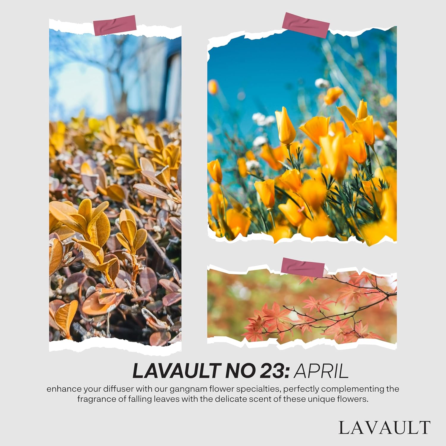 Lavault Reed Diffuser - April Aroma Fragrance Set