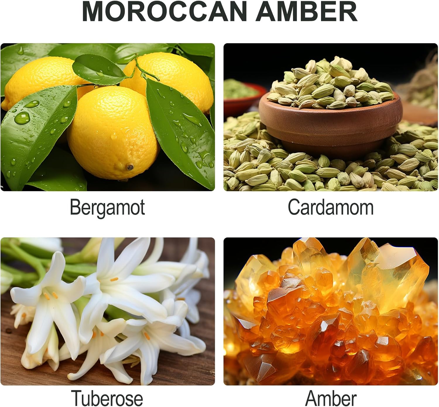 Lodeur Vill Reed Diffuser Set Moroccan Amber