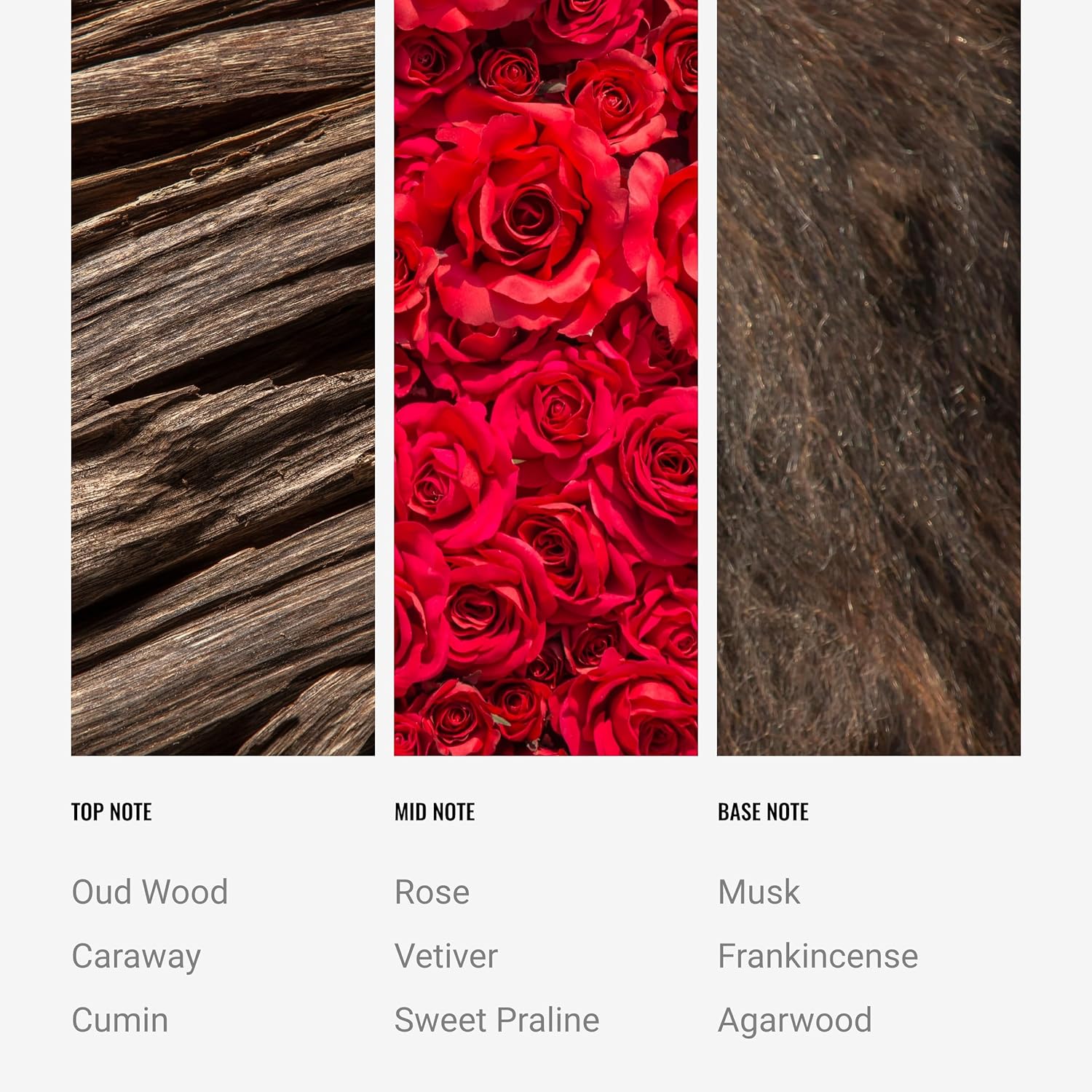 Desert Rose Reed Diffuser Set Hotel Inspired Luxury Fragrance